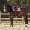 Czaprak Lyvia QHP, pink (Rozmiar drezurní COB/FULL)