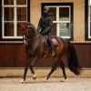 Czaprak Zahra QHP, wine red (Rozmiar drezurní COB/FULL)