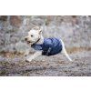 Derka dla psa Ionic Horseware, 50 g, imperial blue/silver & navy (Rozmiar L)