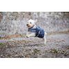 Derka dla psa Ionic Horseware, 50 g, imperial blue/silver & navy (Rozmiar L)
