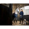 Derka dla psa Ionic Horseware, 50 g, imperial blue/silver & navy (Rozmiar L)