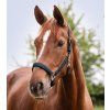 Kantar Satin Waldhausen, petrol blue (Rozmiar PONY)