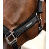 Kantar Soft Touch Waldhausen, czarny (Rozmiar PONY)
