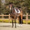 Czaprak Firenze QHP, Biały (Rozmiar všestranná PONY)