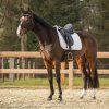Czaprak Firenze QHP, Biały (Rozmiar všestranná PONY)