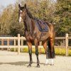 Czaprak Firenze QHP, navy (Rozmiar všestranná PONY)