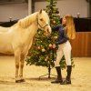 Kantar Christmas QHP, snowman (Rozmiar PONY)