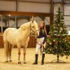 Kantar Christmas QHP, snowman (Rozmiar PONY)