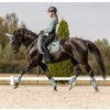 Czaprak Nepal Waldhausen, silver blue (Rozmiar ujeżdżeniowy COB/FULL)