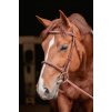 Ogłowie Hunter US Penelope, chestnut/havana
