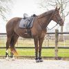 Czaprak Sensisoft QHP, grey (Rozmiar drezurní COB/FULL)