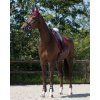 Nauszniki Florence QHP, bordowy (Rozmiar PONY)