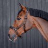 Kantar Aesthetic Ar BUSSE, dark brown (Rozmiar PONY)