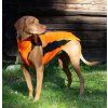 Derka dla psa Eddie Back on Track, orange (Rozmiar 45 cm)