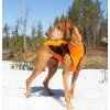 Derka dla psa Eddie Back on Track, orange (Rozmiar 45 cm)