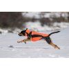 Derka dla psa Eddie Back on Track, orange (Rozmiar 45 cm)