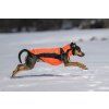 Derka dla psa Eddie Back on Track, orange (Rozmiar 45 cm)