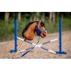5577 5581 hobby horse 3