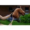 5577 hobby horse 4