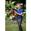 5577 5581 hobby horse 4