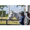 Derka treningowa Amigo Flyrider Horse, ochrona przed owadami, silver/titanium gray & silver