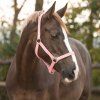Kantar Slide Q-essentials, flamingo pink (Rozmiar SHETTY)