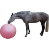 Piłka dla konia QHP, 80–100 cm, różowa