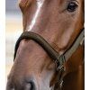 Kantar Athletic Waldhausen, green brown (Rozmiar PONY)