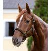Kantar Athletic Waldhausen, green brown (Rozmiar PONY)