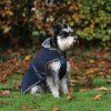 Derka dla psa Show-Line Bucas, navy/grey (Rozmiar 25 cm)