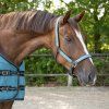 Kantar i uwiąz QHP, ocean breeze (Rozmiar PONY)