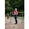 5577 5579 5616 5617 hobby horse 2