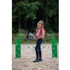 5577 5615 8471 7067 hobby horse 2