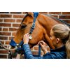 Kantar wyściełany Grooming Signature Horseware, navy