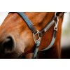 Kantar Signature Braided Horseware, brown/navy & blue haze