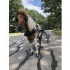 Buty dla konia CLB Cavallo, węższe, dla kuców, para, blue
