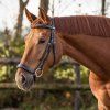 Ogłowie Luxury QHP, czarne (Rozmiar PONY)