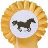 horseandme2hkm goldweiss