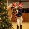 Nauszniki Christmas QHP, red/white (Rozmiar FULL)
