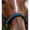 Kantar Athletic Waldhausen, petrol blue (Rozmiar PONY)