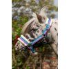 Kantar Funny Horses Waldhausen, purple/aqua/silver (Rozmiar PONY)