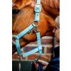 Wyściełany Kantar Grooming Signature Horseware, niebieski (Rozmiar COB)