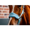 Wyściełany Kantar Grooming Signature Horseware, niebieski