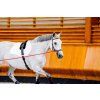 Ogłowie Rambo Micklem Multibridle 2, dark havana (Rozmiar COB/FULL)