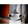Ogłowie Rambo Micklem Multibridle 2, dark havana (Rozmiar COB/FULL)