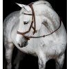 Ogłowie Rambo Micklem Multibridle 2, dark havana (Rozmiar COB/FULL)