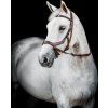 Ogłowie Rambo Micklem Multibridle 2, dark havana (Rozmiar COB/FULL)