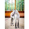 Ogłowie Rambo Micklem Multibridle 2, dark havana (Rozmiar COB/FULL)