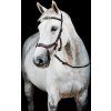 Ogłowie Rambo Micklem Multibridle 2, dark havana (Rozmiar COB/FULL)