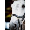 Ogłowie Rambo Micklem Multibridle 2, czarne (Rozmiar COB/FULL)